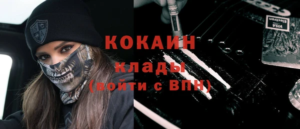 прущие грибы Баксан
