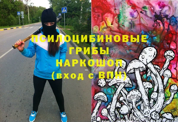 прущие грибы Баксан